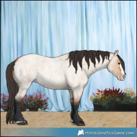 Horse Color:Bay Roan Dun Splash 