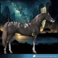 Horse Color:Liver Chestnut Rabicano 