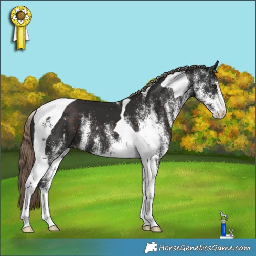 Horse Color:White Spotted Liver Chestnut Tobiano 