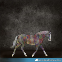 Horse Color:Nacre Silver Buckskin Splash Tobiano Rabicano 