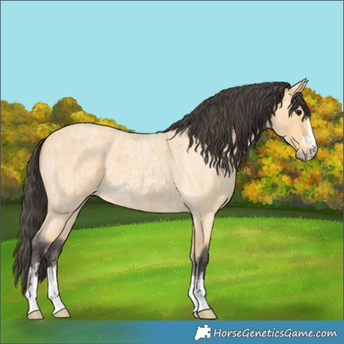 Horse Color:Buckskin Roan  and Buckskin Roan 