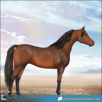 Horse Color:Bay and Bay