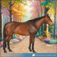 Horse Color:Bay 