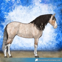 Horse Color:Bay Roan Dun Splash  and Gray Bay Roan Dun Splash 