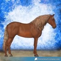 Horse Color:Chestnut  and Chestnut 