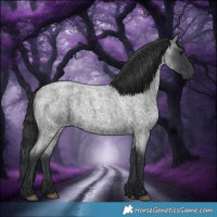 Horse Color:Blue Roan 