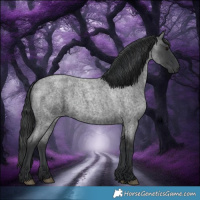 Horse Color:Blue Roan 