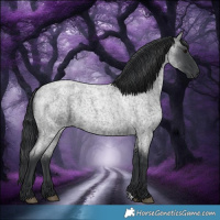 Horse Color:Blue Roan 