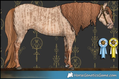 Horse Color:Red Dun and Gold Champagne Dun