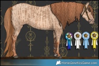 Horse Color:Red Dun  and Gold Champagne Dun 