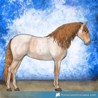 Horse Color:Red Roan  and Red Roan 