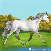 Horse Color:Gray Silver Black Pearl Tobiano 