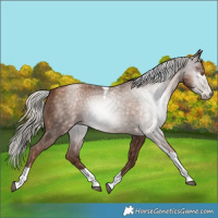 Horse Color:Gray Silver Black Pearl Tobiano
