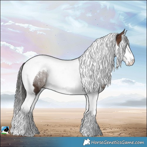 Horse Color:Powder White Brown Splash Tobiano