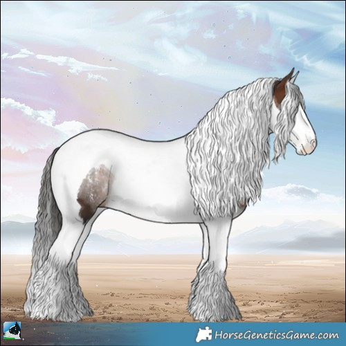 Horse Color:Powder White Brown Splash Tobiano 