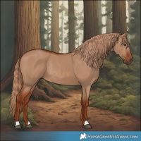 Horse Color:Red Dun Rabicano 