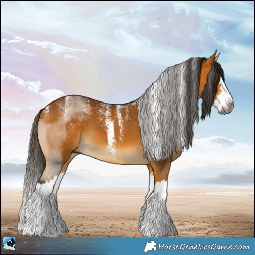 Horse Color:Powder White Gray Buckskin Splash