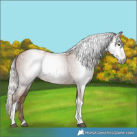Horse Color:Gray Silver Black Pearl Tobiano 