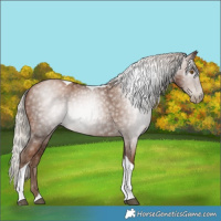 Horse Color:Gray Silver Black Pearl Tobiano