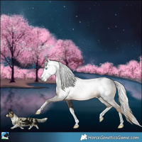 Horse Color:Powder White Gray White Spotted Chocolate Palomino Splash