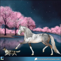 Horse Color:Powder White Gray White Spotted Chocolate Palomino Splash 