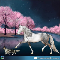 Horse Color:Powder White Gray White Spotted Chocolate Palomino Splash 