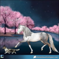 Horse Color:Powder White Gray White Spotted Chocolate Palomino Splash