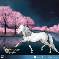 Horse Color:Powder White Gray White Spotted Chocolate Palomino Splash 