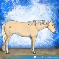 Horse Color:Palomino Dun  and Palomino Dun 