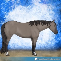 Horse Color:Smoky Grullo  and Smoky Grullo 