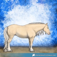 Horse Color:Gold Cream Champagne  and Gold Cream Champagne 