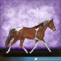 Horse Color:Chestnut Tobiano and Chestnut Tobiano