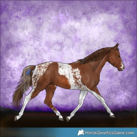 Horse Color:Chestnut Tobiano  and Chestnut Tobiano 