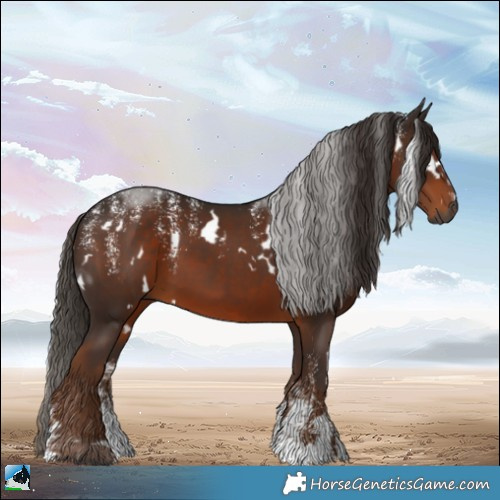 Horse Color:Powder White Gray White Spotted Liver Chestnut 