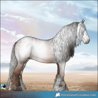Horse Color:Powder White Gray White Spotted Liver Chestnut 