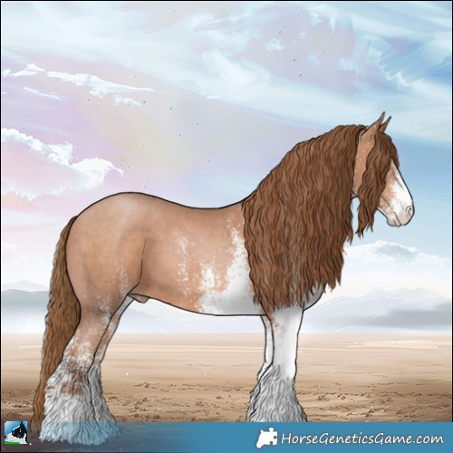 Horse Color:White Spotted Brown Pearl 