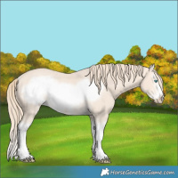 Horse Color:Perlino Splash Frame Rabicano 