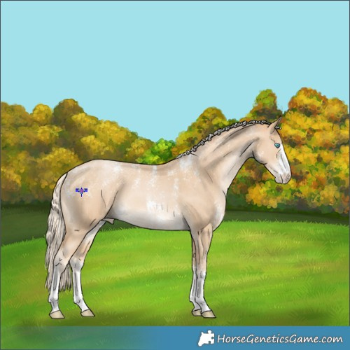 Horse Color:Powder White Palomino Pearl Sabino 