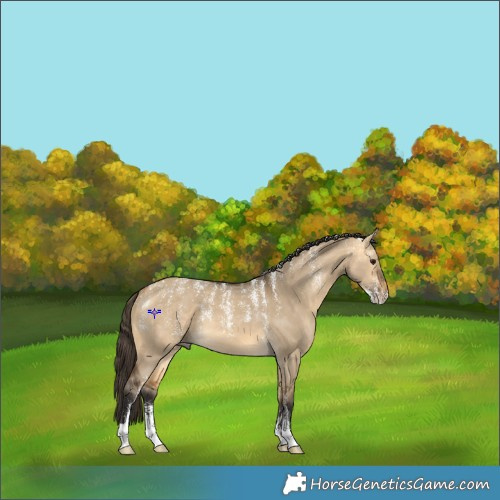 Horse Color:Powder White Buckskin Dun 