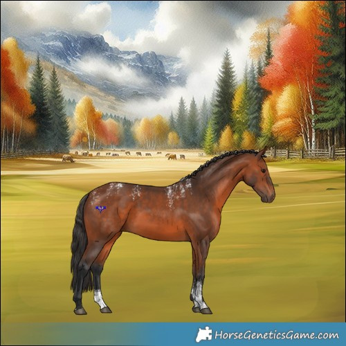 Horse Color:Powder White Bay Frame 