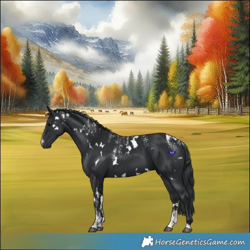 Horse Color:Powder White White Spotted Black 