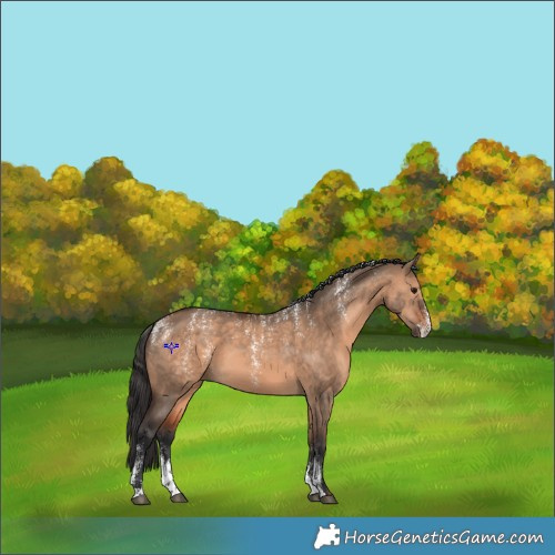 Horse Color:Powder White Brown Dun Sabino 
