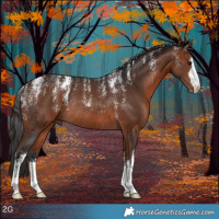 Horse Color:Powder White White Spotted Bay Rabicano