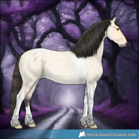 Horse Color:Buckskin Roan Dun Tobiano