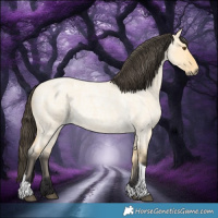 Horse Color:Buckskin Roan Dun Tobiano