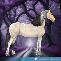 Horse Color:Buckskin Roan Dun Tobiano