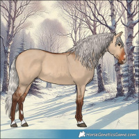 Horse Color:Silver Bay Dun 