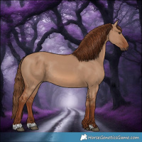 Horse Color:Red Dun Rabicano 