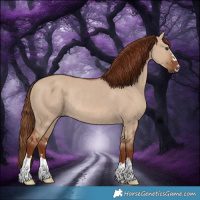 Horse Color:Red Dun Rabicano