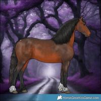 Horse Color:Brown Tobiano 